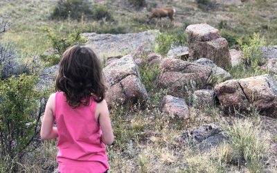 Day 146: Camp Amelia