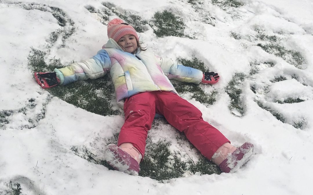 Day 223: Snowy Sunday