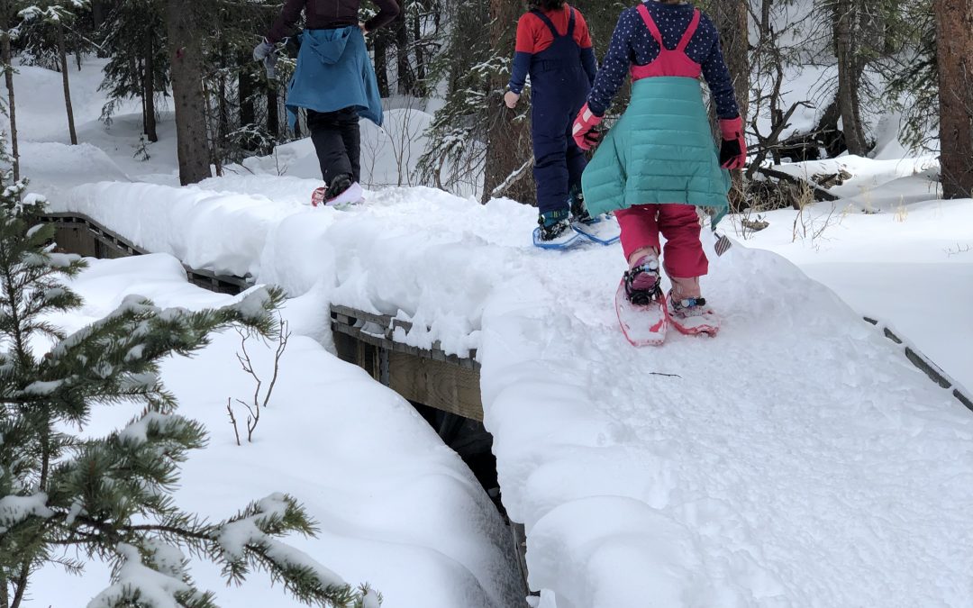 Day 371: Spring Breck, Part 2