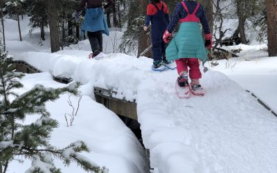 Day 371: Spring Breck, Part 2
