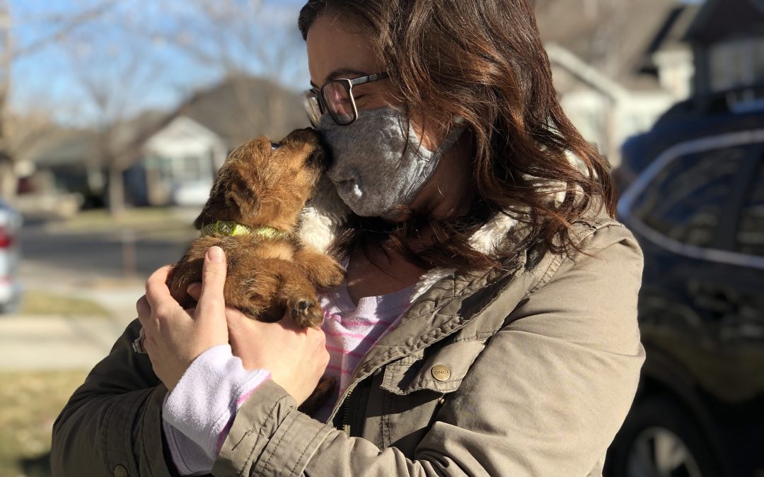 Day 244:  Pups and Kisses