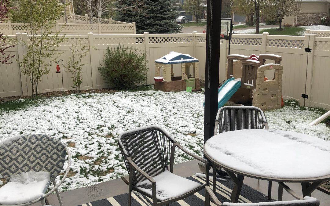 Day 421: Again With This?