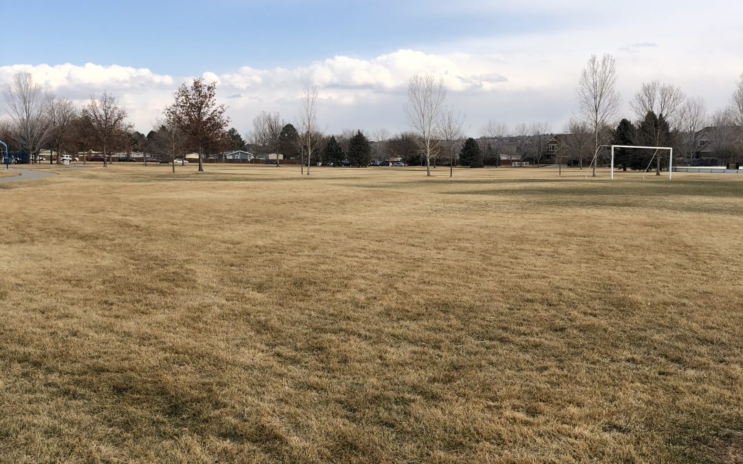 Day 360: The Calm Before the Calm Before the Storm