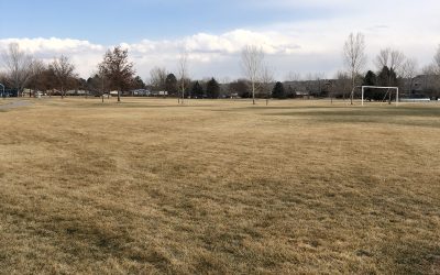 Day 360: The Calm Before the Calm Before the Storm