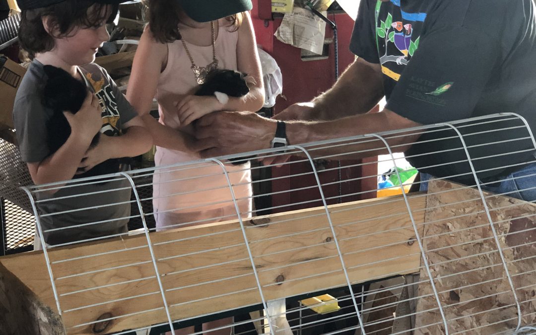 Day 117: Grandma and Grandpa’s House!