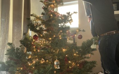 Day 257, Decking Our Halls, Part 2
