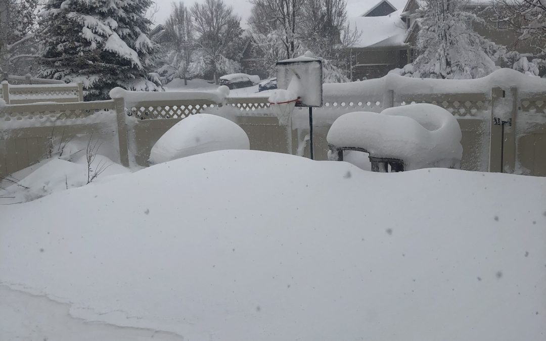 Day 363: The Blizzard King