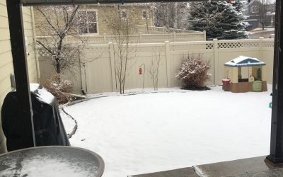 Day 362: Snow Show