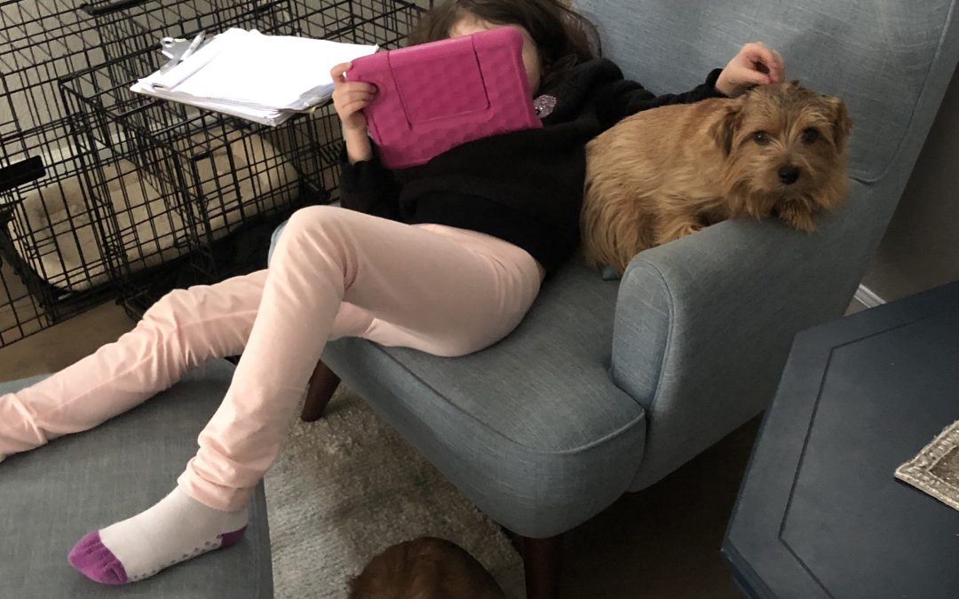 Day 338: Lazy Afternoon