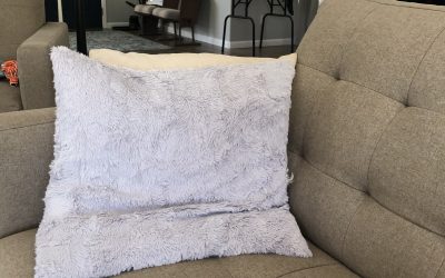 Day 71: Sofa, So Good