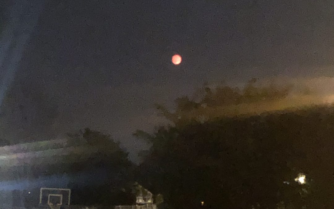 Day 198: Red at Night