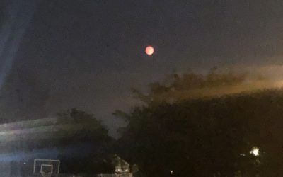 Day 198: Red at Night