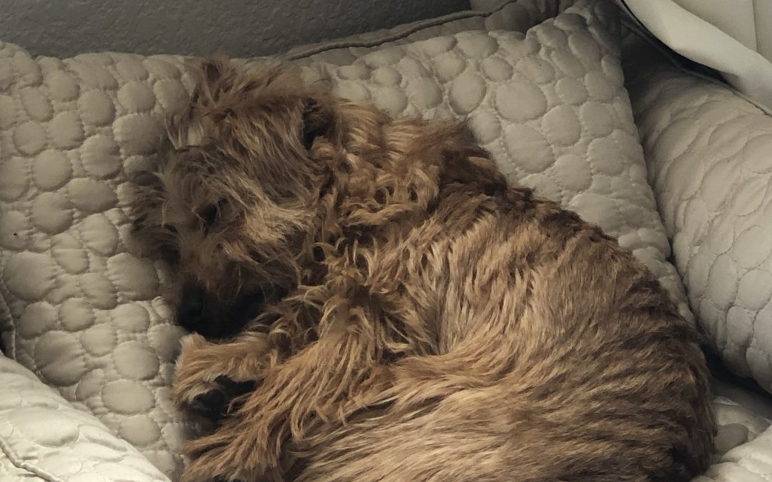 Day 394: A Wednesday