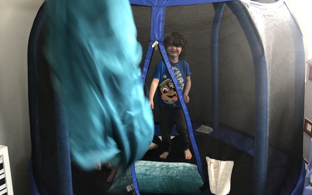 Day 377: Pillow Battle