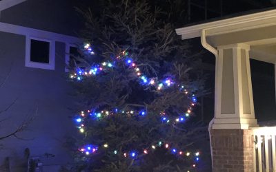 Day 262: Murphy’s Year