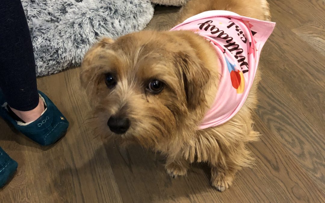 Day 399: Two Legit To Quit