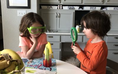 Day 19: Celery Science!