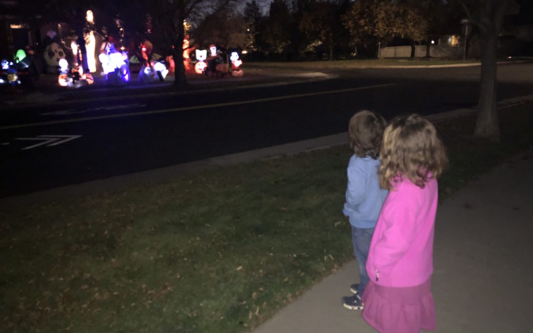Day 227: Evening Stroll