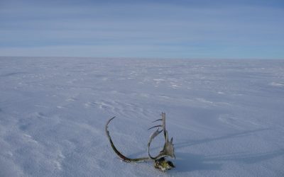 Day 334: Still Cold