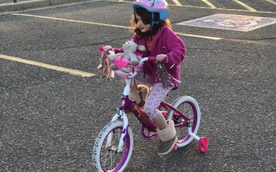 Day 252: Take a Bike