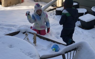 Day 253: Dreaming of a White Thanksgiving