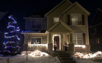 Day 256: Decking Our Halls