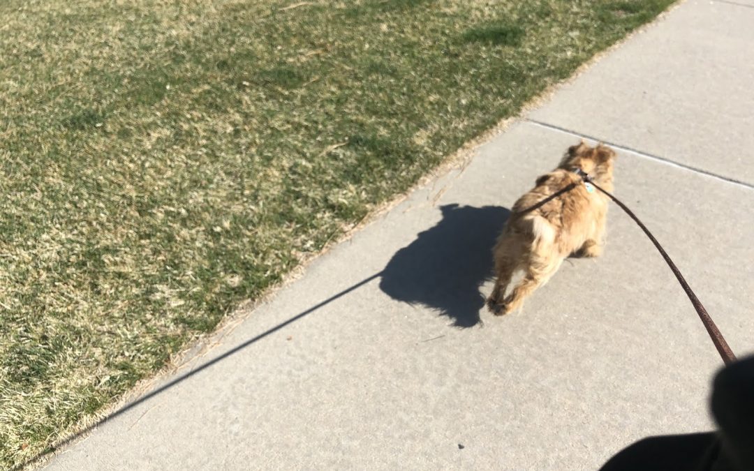 Day 25: Born to Run