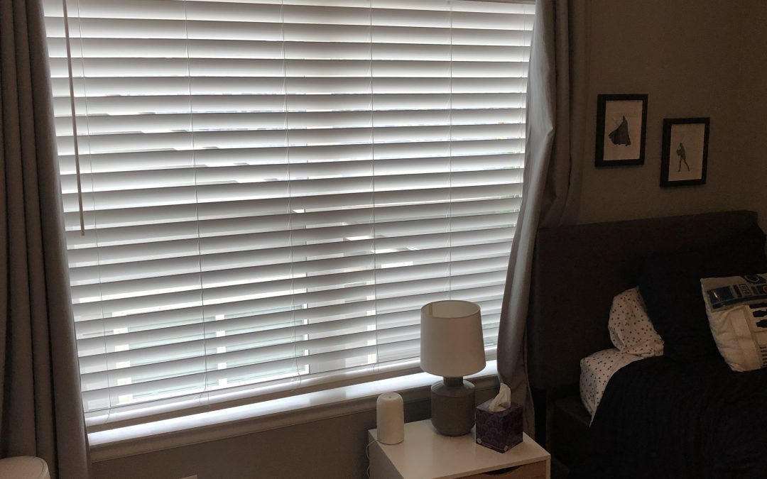 Day 94: Blinds Leading the Blind
