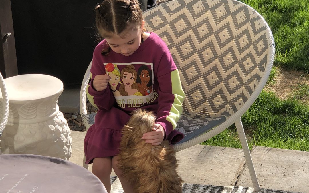 Day 422: A Wednesday