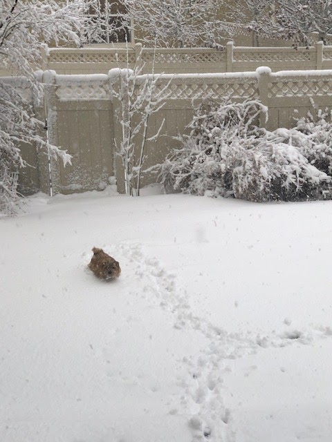 Day 4: Snow Way